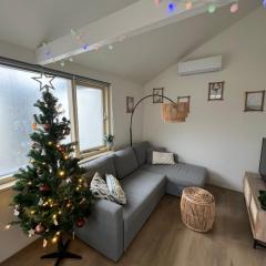 Bed & Beach Noordwijk - free parking and close to beach!