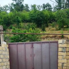 Gusar Quiet Family House forest view