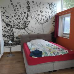 One-room apartment near Rheine Lingen