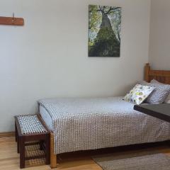 'The Cape Robin' studio apartment