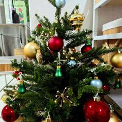 하루스테이 신림동