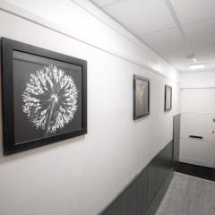 Stylish 2BD, Near O2, WIF, Sleeps 6, London