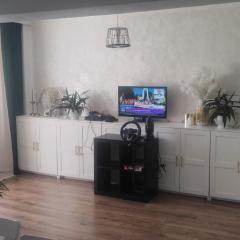 Tudor Centru Apartament