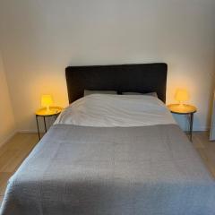 3 bedrooms apartment in Fionnay