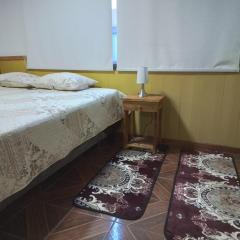 Departamento Interior 3 Villarica Centrico