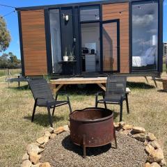 Billy Button by Tiny Away