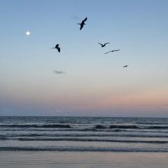 Apartamento con vista al mar