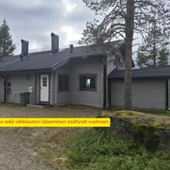 Huipunpuisto B, Pikku-Syötteen hissilippu sekä sähköauton lataaminen sisältyvät vuokraan