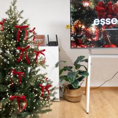 Bandal Stay in Daegu