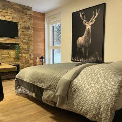 Studio Chalet des pistes