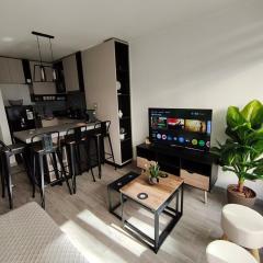 Refugio en Santiago, Cercano al Movistar Arenas