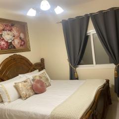 Premier Hub Mega Mall & Park View Flat