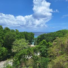 103 Batts Rock Beach Condo's