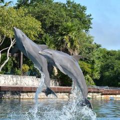 Departamento cerca del mar en Puerto Aventuras #104