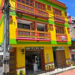 Girasoles del parque