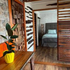 Centro de Temuco Depto único, rústico y a pasos de todo Incluye estacionamiento