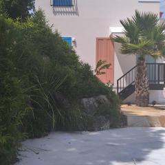 栗山さん家のアロハミエント