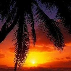 Fika beach homestay mangalam alappey