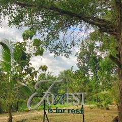 Nam Cat Tien Retreat