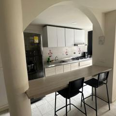 Apt 201 - San Fernando