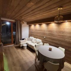 Appartement au pied des pistes