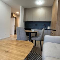 Apartment with balcony near airport with parking