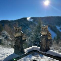 Le Chalet des 4 Chouettes