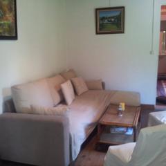 Your pink house with blue shutters