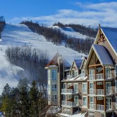 Sauna, Hot Tub & Heated Pool Blue Mountain Getaway