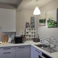 Camino Santiago Santiago Road