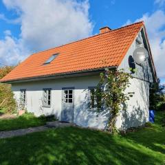 Kembser Kate - Ostholstein - NEU!