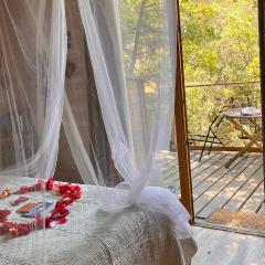 Cabane & Dîner Gourmet Inclus