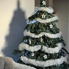 Apartment National Stadium Port Praski