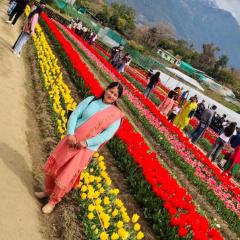 Barot Waterfall Camps