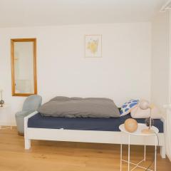 Renovated apartment near Büdingen with single beds