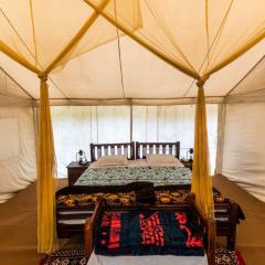 The Mumtaz luxury Resort Jaisalmer