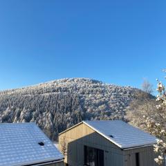 Sauerland Lodge - Haus Juliana