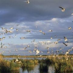 Le Carré d'Etoiles / Domaine de la Crapaudine