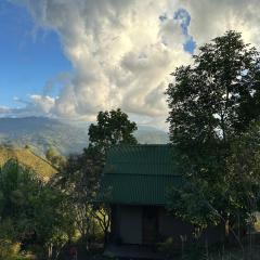 Alto Bonito Salamina