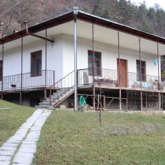 Likani Mountain View Family House