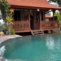 Green vanilla Suite 1