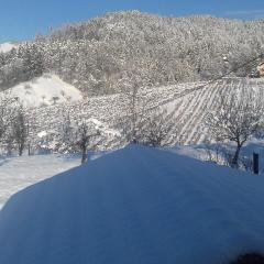 Rural Retreat - Comfort Oasis