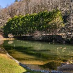 Cove House - Peaceful Nature Retreat on 66 Acres, Pond and Trails!