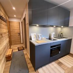 Studio au Cernix, 4 pers, proche pistes, terrasse spacieuse - FR-1-733-179