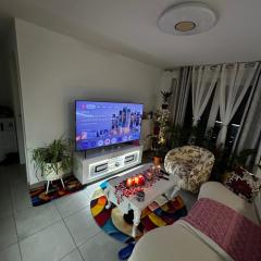 Apparemment 3 pièce Strasbourg Ilkirch graffenstaden