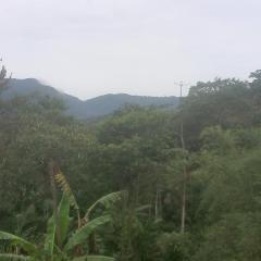 De la rosa y el canto de los pájaros