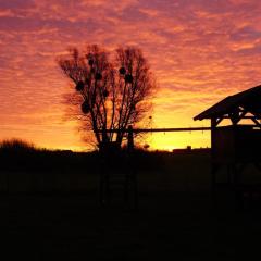 Gemütliche 2-Zimmer-Ferienwohnung mit Garten