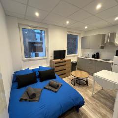 Petit cocon à 5 min du marché de Noël