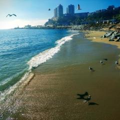 Departamento 2 dormitorios parking incluido