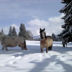 gite des granges bailly